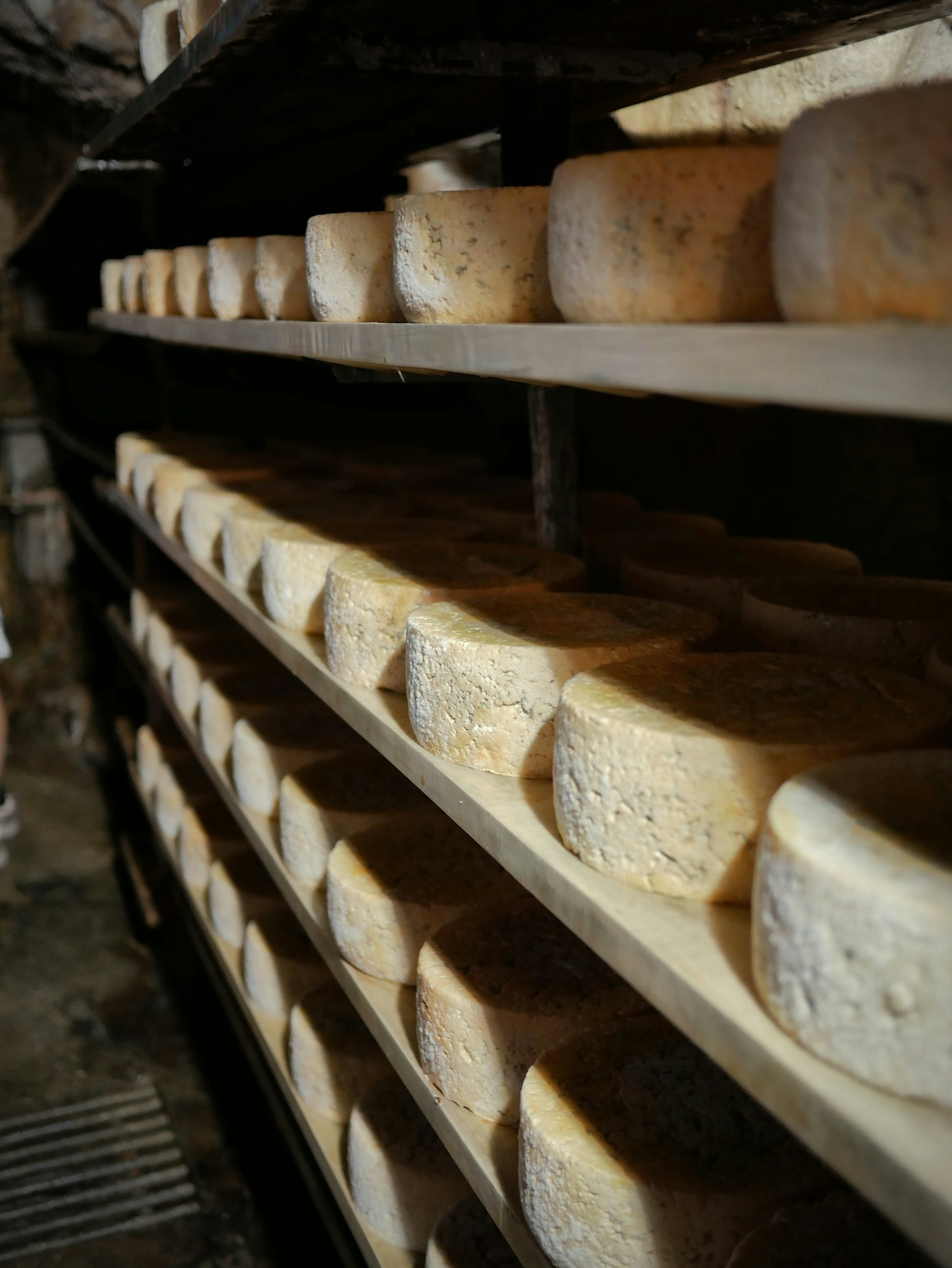 Rencontre avec nos producteurs locaux passionnés